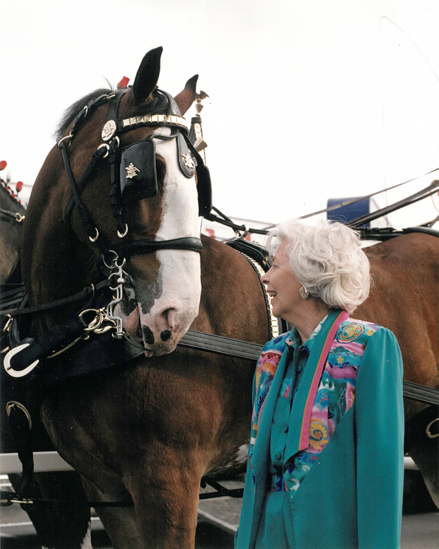 Bob Hall Timeline 2017